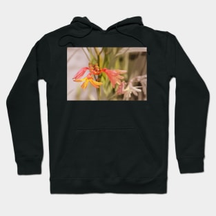 flowers by the Methodist church in Rainier 4 Hoodie